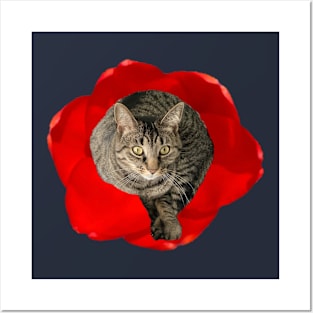 Kitty in a Flower Posters and Art